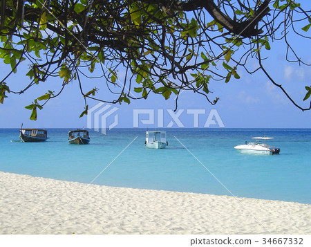 Boats moored at the beach of a Maldives Island 34667332