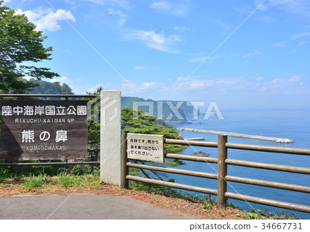 熊的鼻子 - 188 491 熊的鼻子 - 188 491 34667731