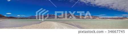 Panoramic View of lagoon Salar de talar 34667745
