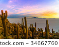 Sunset on Incahuasi island by Uyuni lake - Bolivia 34667760