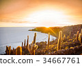 Sunset on Incahuasi island by Uyuni lake - Bolivia 34667761