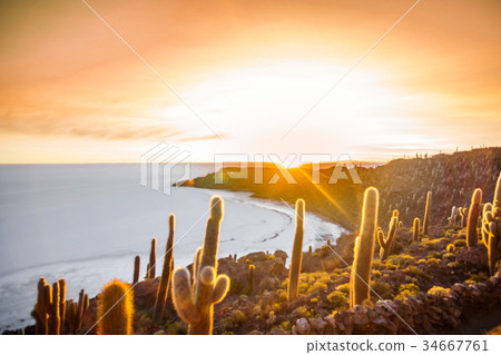 Sunset on Incahuasi island by Uyuni lake - Bolivia Sunset on Incahuasi island by Uyuni lake - Bolivia 34667761