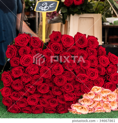 Bunch of red and pink roses 34667861