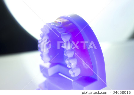 Dental teeth dental model 34668016