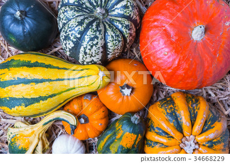 Pumpkins on hay background Pumpkins on hay background 34668229