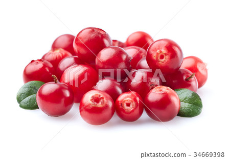 Cowberry with leaf Cowberry with leaf 34669398