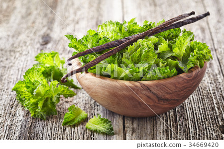 图库照片: mint with vanilla