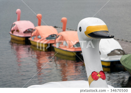 Swan pedal boats on Lake Kawaguchi Swan pedal boats on Lake Kawaguchi 34670500