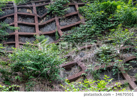 Stabilizing concrete grid in forest over road Stabilizing concrete grid in forest over road 34670501