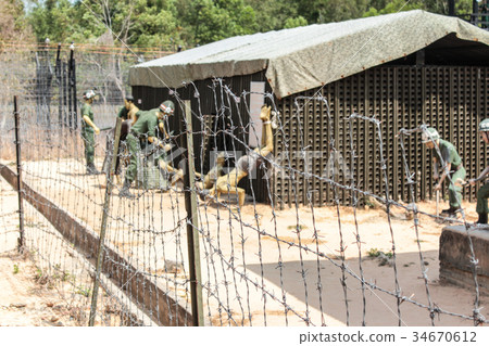 Coconut Tree Prison o Phu Quoc Island in Vietnam Coconut Tree Prison o Phu Quoc Island in Vietnam 34670612