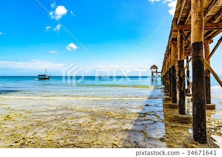 The coast of Zanzibar Island (Tanzania, Zanzibar) 34671641