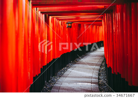 京都伏見稻荷大社日本 34671667
