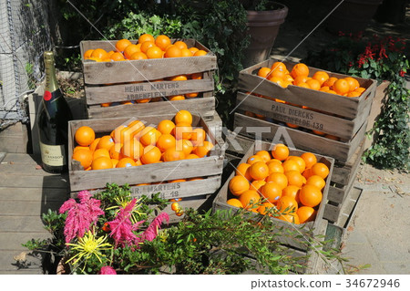 Orange 1 in a wooden box 34672946