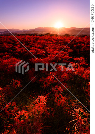 Kushina寺廟群日出 34673539