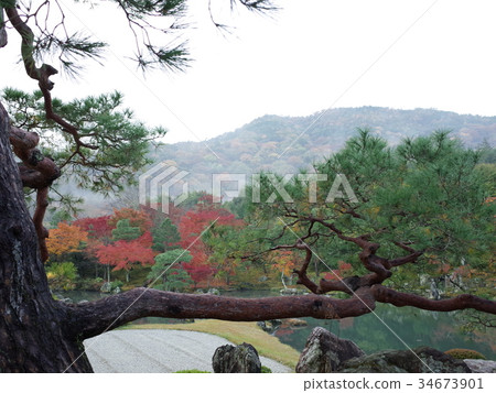 松_ Soken池塘花園_天龍寺 34673901