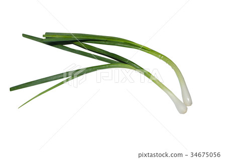 Spring onion 34675056