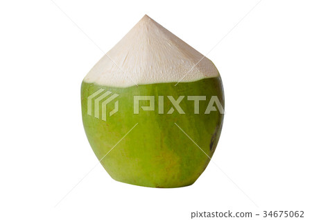 coconut white background coconut white background 34675062