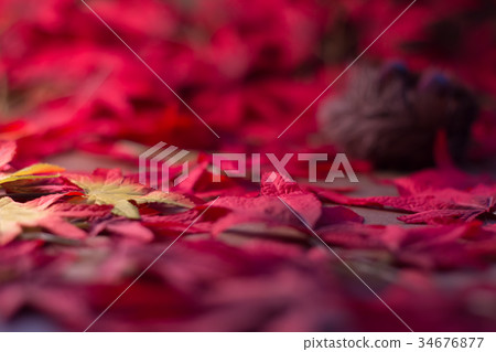 Autumn leaves Chestnut Texture Fake CG material Writing 34676877