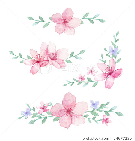 Set of flowers, leaves and branches 34677250