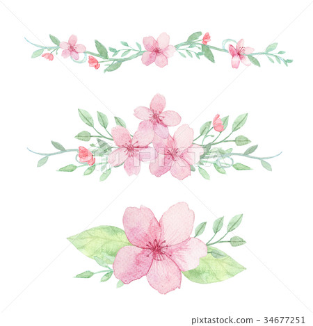 Set of flowers, leaves and branches 34677251