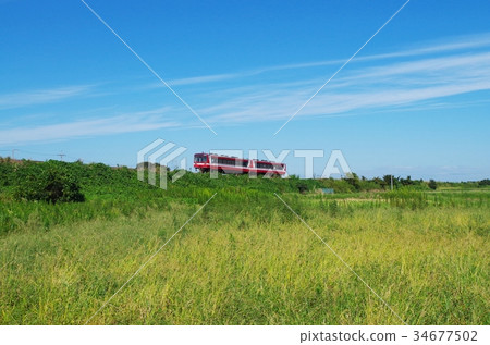 Oashikashima Line and grasses 34677502