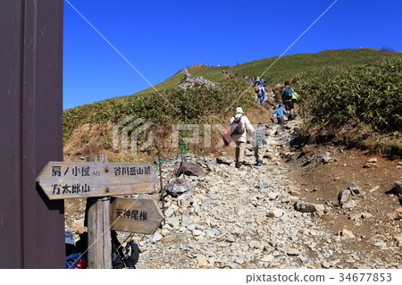 從Tanigawa山的山谷看山頂的方向 34677853