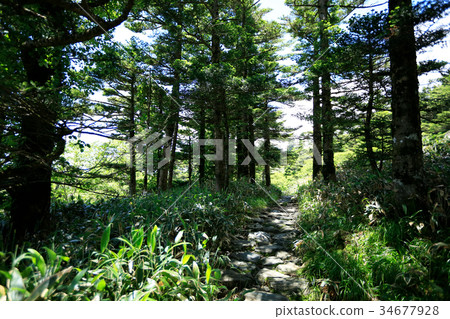 登山徒步旅行的形象 登山徒步旅行的形象 34677928