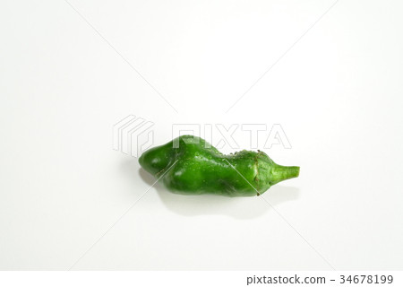 jalapeno pepper jalapeno pepper 34678199