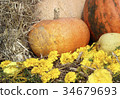 Image of autumn 34679693