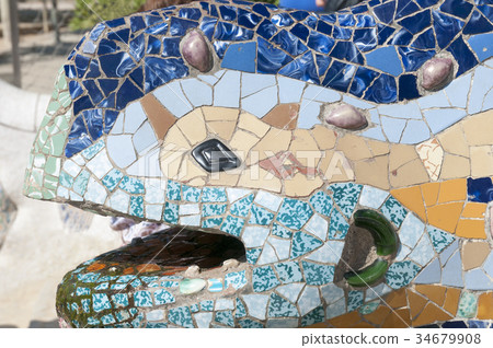 Barcelona lizard Barcelona lizard 34679908