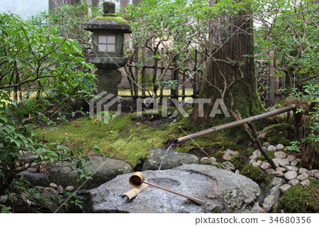 茶道(Tsukiba)的形象 茶道(Tsukiba)的形象 34680356