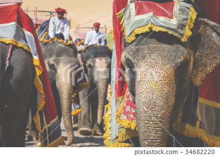 Decorated elephants in Jaleb Chowk in Amber Fort Decorated elephants in Jaleb Chowk in Amber Fort 34682220