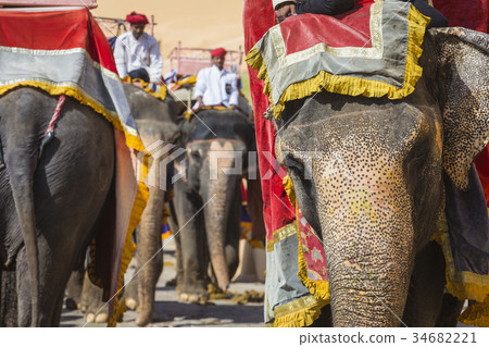 Decorated elephants in Jaleb Chowk in Amber Fort Decorated elephants in Jaleb Chowk in Amber Fort 34682221