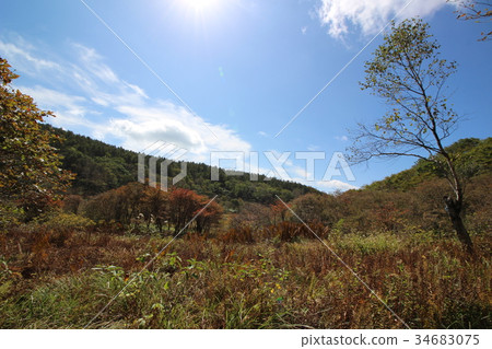 Autumn well wetland Autumn well wetland 34683075