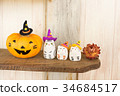 Cat halloween 34684517
