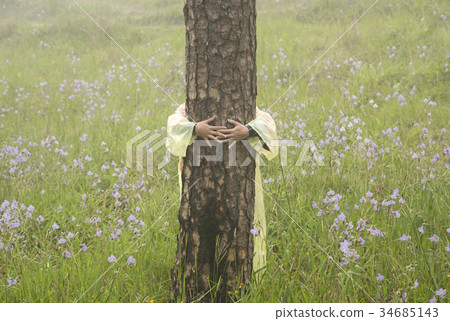 hug tree pine with purple flower forest. 34685143