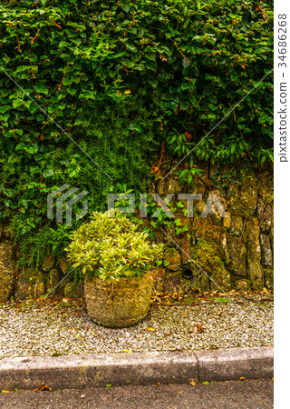 green plants in stone pots 34686268