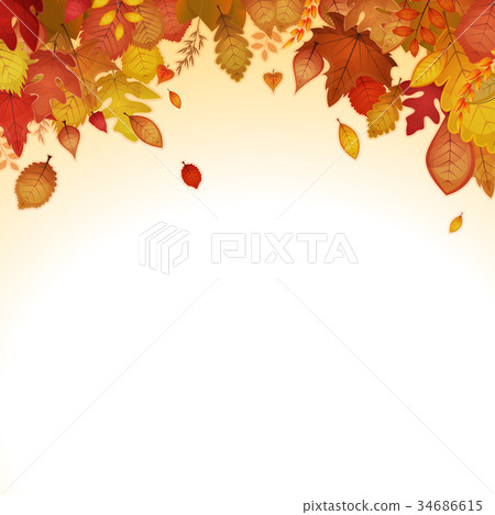 Autumn Leaves Background Autumn Leaves Background 34686615