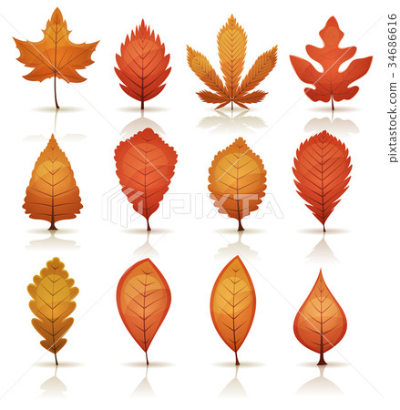 Autumn Leaves Set Autumn Leaves Set 34686616