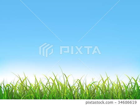 Blue Sky Background With Green Grass 34686619