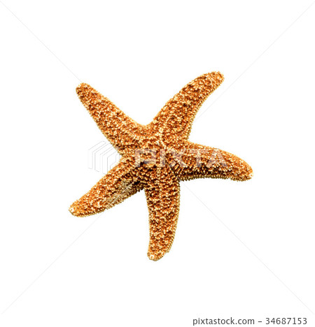 starfish isolated 34687153