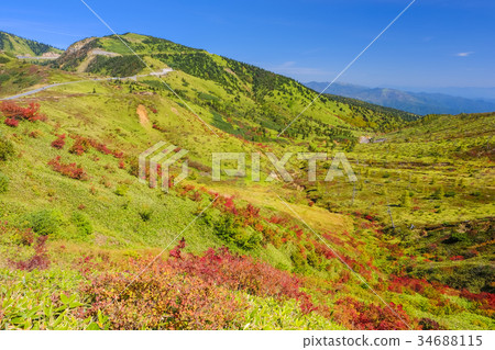 Autumn leaves 3 of Kusatsu plateau 34688115