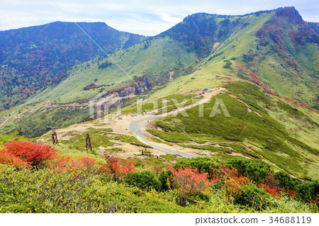 墮落無毛 34688119