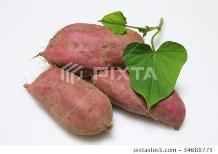 地瓜(地瓜) 地瓜(地瓜) 34688773