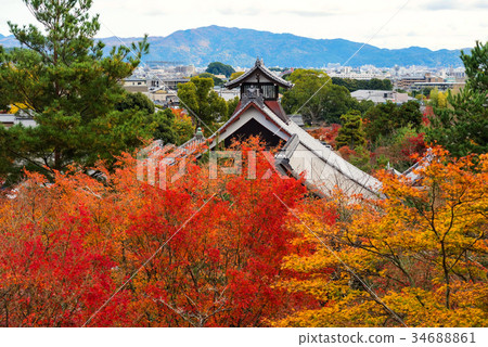 Tenryu-ji temple with autumn leafs, Arashiyama Tenryu-ji temple with autumn leafs, Arashiyama 34688861