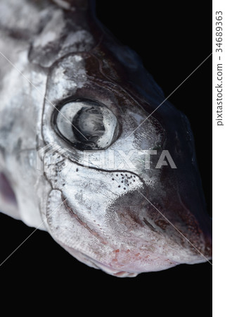 一條奇怪的深海魚在駿河灣未填充的靜岡縣戶田漁港捕獲 34689363