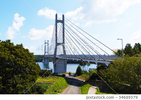 [Ishikawa Prefecture/Noto Peninsula Tourist Attractions] Twin Bridge Noto (Nakanoto Farm Road Bridge) 34689379