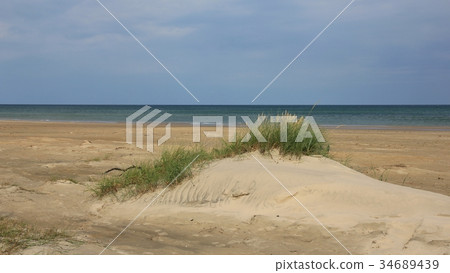 Sand dune at the west coast of Denmark. 34689439