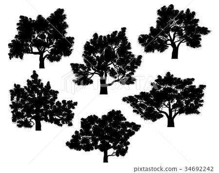 Silhouettes of oak trees with leaves. Silhouettes of oak trees with leaves. 34692242
