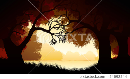 Horizontal illustration within forest. Horizontal illustration within forest. 34692244